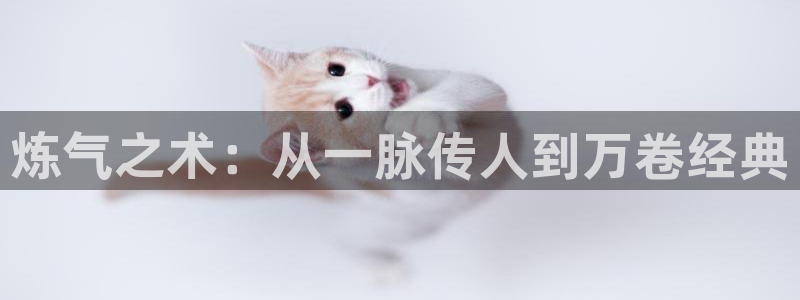 age动漫动画在线